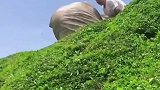 将巨物从山顶滚落，半山腰的人竟想徒手接住