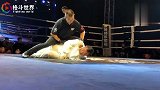 格斗视界-20190223-又有一名为传武正名的大爷倒下了，大家看看是哪个门派的！