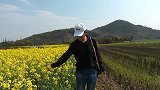 阳春三月，正是踏青出游的好时机，金黄色的油菜花开遍了田野