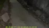 男子找了两年的猫终于找到，回家后直接开派对