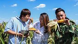 夫妻俩玉米地里吃饭，小伙也能闻着味找过来，太有趣了