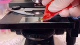 某牌泡面调料包放大 泡面  调料包  健康  显微镜