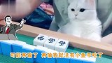 我就想问问，明天你准备咋去上班
