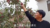 看看我们做了什么好吃的，酸酸甜甜，爽口开胃，女儿说：我的最爱