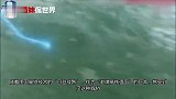 日本高铁输给中国,印度打抱不平,中国笑而不语