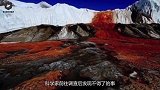 南极地下涌出“血水”，科学家前往调查，发现一件不得了的事！