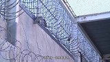 世界上最“暖心”的监狱：让动物与犯人一起生活，感化效果更好！