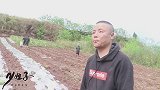 鱼塘顺利完工，3兄弟齐心协力煮晚饭，四娃发挥失常被嫌弃