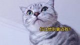 小公猫为了让母猫喜欢自己，各种讨好还卖力爆笑表演，爱情真美好