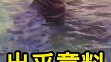 动物界的奇才，掩耳盗铃