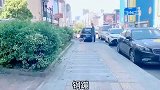 嚣张二哈，很快你就嚣张不起来了！