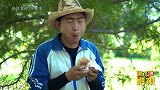 大圣吃汉堡获得透视眼，同学纷纷效仿，都吃成了大胖子