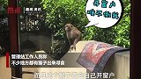 贵阳多个猴哥飞檐走壁大闹小区 自己开窗翻箱倒柜找吃的