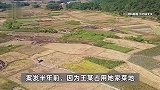 广西被曝春节发生血案：一男子疑因土地纠纷持刀行凶，致4死1伤