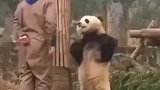 14亿人给我撑腰，你敢跟我指手画脚