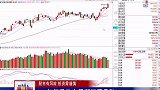 如何具体布局新能源品种，近期资金开始持续介入