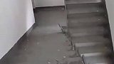 这楼梯设计的有问题啊
