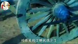 整个三国历史中，此人只出场了3次，却杀了2位五虎上将