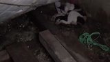 流浪猫母女被坏人虐待，身上缠着渔网痛不欲生，太可怜了