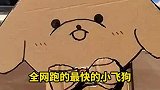 女生用穿越机制作飞行版小狗”