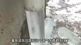 搞笑配音：看我家狗子这架势我以为是个跳水王者，结果出乎意料啊