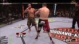 UFC-14年-UFC on Fuel TV 10自由格斗：诺盖拉vs西尔维亚-专题