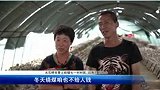 【辽宁营口】农村能人无私带领乡亲种香菇共同致富