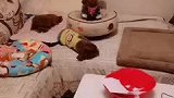看看豆芽的嘴能挂个油瓶