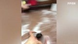 赢了球开始人体刷地板？英国小球员这庆祝方式太骚了