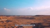 金字塔下不可告人的秘密，那里埋葬的不是法老，而是这种生物