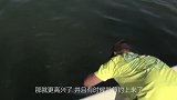 海滩上发现一条搁浅鲨鱼，男子马上抱起合照，危险突然发生
