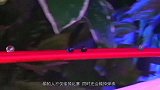 长大后没人一起打弹珠了？小哥创建大型赛道，出发那一刻精彩开始