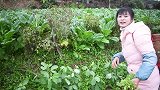 今天买了3斤多的母鸡，和红萝卜一起炒，真香，丫丫一人吃一大盘