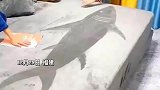 这创意挺有天赋，兄弟俩在绒面床单上画出鲨鱼