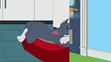 猫和老鼠-新的主人似乎脾气没那么好，汤姆都要被赶出家门了