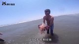 男子潜水时被袭击，感觉背上传来剧痛，上岸后家人高兴了