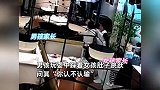 男孩踩女孩肚子跳跃，问“认不认输”，家长拒道歉叫骂：咋没踩死你