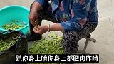 婆婆让我啃她