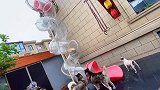 狗窝里举办了竞速滑梯比赛，你们猜猜谁赢了