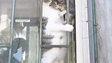 住楼房不方便
