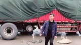 卡车女司机又把车胎开爆了，受苦的还是男司机，老公没脸见人了