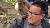 小猴子爬上游客后面吓得他不敢乱动