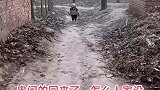 两岁萌娃自己去邻居家串门