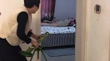 丈母娘叫两只懒猫起床