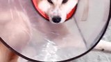 我家大哥姿势很销魂