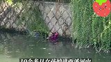 宝宝掉进河中奶奶吓得也跳进去，74岁党员大伯跳入救援