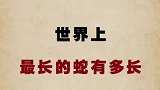 你平时最害怕什么呢?