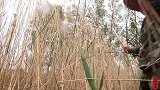 260块买10斤羊棒骨，炖了大半天，老哥俩大口吸骨髓，真过瘾