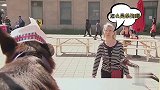 狗狗上街卖热狗？独特点餐方式路人都叫好！