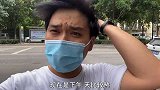 狗市实拍：未完全褪色的柯基幼犬，嘴角一圈黑色要价500一只！